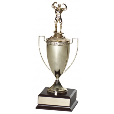 Metal Cup Award C-3901