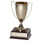 Metal Cup Award C-3902