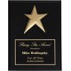 Black Matte Finish Plaques PL802