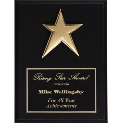 Black Matte Finish Plaques PL802