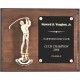 Solid Walnut Plaques PL1503