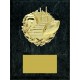 Economy Plaques P-4312