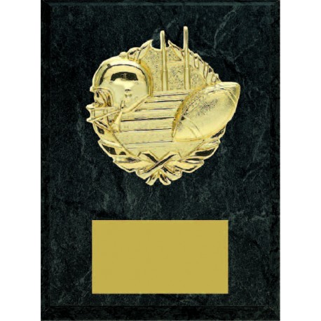 Economy Plaques P-4312