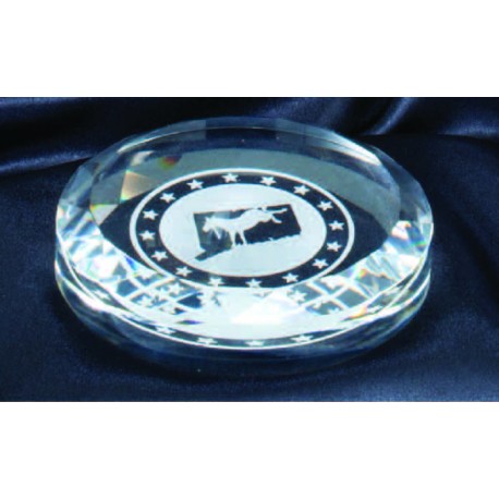 3 1/2" Crystal Paperweight