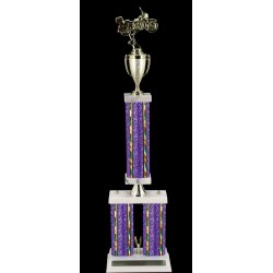 Purple Moon Beam Trophy DD-2801
